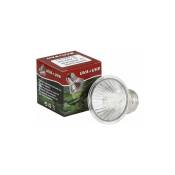 Choyclit - Ampoule chauffante pour terrarium,Lampe