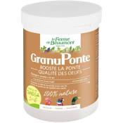 Ferme De Beaumont - GranuPonte 1 kg Ponte et qualité des oeufs - Oméga 3 et 6 volailles