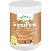 GranuPonte 1 kg Ponte et qualité des oeufs - Oméga