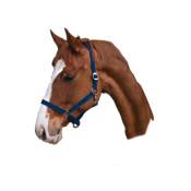 Kerbl - Nylon de cheval classique bleu, taille 2