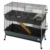 PaylesswithSS Vital Cage pour petit animal domestique