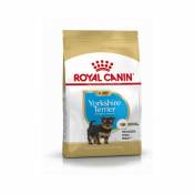 Royal Canin - Croquettes Yorkshire Terrier Junior Sac