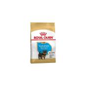 Royal Canin - Nourriture que Yorkshire Terrier Chiot (Junior) pour chiots (jusqu'љ 10 mois) - 500g