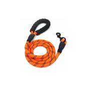 Ulisem - 5Ft Reflechissant Dog Leash Fort Chien Avec Traction Poignee Rembourree Chien Roule Leads Anti Slip Poignee Corde, Orange - Orange
