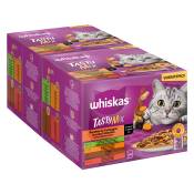 Multipack Whiskas Tasty Mix 48 x 85 g pour chat - Recettes