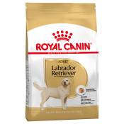 Royal Canin Labrador Retriever Adult pour chien - 3 kg