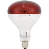 Eosnow - Lampe chauffante pour poussins, ampoule rouge pour couveuse, 220V / 250W