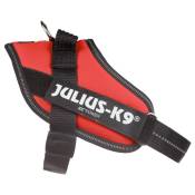 Julius®-K9 IDC® Power Mini rouge poitrail 49-67cm
