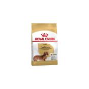 Nourriture que Royal Canin Dachshund adulte Race Dogs