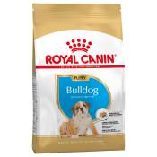 12kg Bouledogue Puppy Royal Canin - Croquettes pour chiot