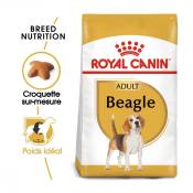 Royal Canin Beagle Adult - Croquettes pour chien-Beagle