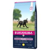 15kg Eukanuba Puppy Large Breed poulet - Croquettes