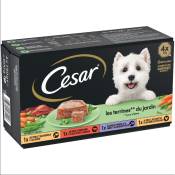 24x150g Cesar Classics Sélection en terrine terrines du jardin - Pâtée pour chien