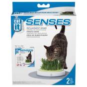 Cat It - Herbe de Rechange pour Kit de Jardin Senses - x2