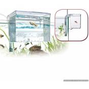 Salle de naissance extérieure avec recirculation d'eau pour aquariums