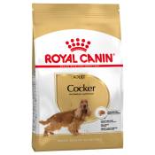12kg Cocker Adult Royal Canin Breed Croquettes pour
