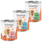 Offre d'essai Briantos Delicious Paté pour chien - 6 x 800 g