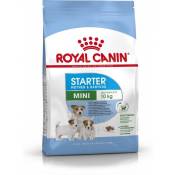 Royal Canin - Mini Starter Mother and Babydog 1 kg