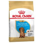 1,5kg Teckel Puppy Chiot Royal Canin - Croquettes pour chien