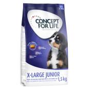 Offre d'essai : croquettes Concept for Life 1 kg ou 1,5 kg pour chien - X-Large Junior (1,5 kg)
