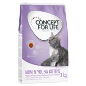 3kg Mum & Young Kittens chatte et chaton Concept for Life - Croquettes pour chat