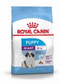 Giant Puppy Aliment pour Chiots de Race Géante 15 Kg Royal Canin