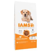 Lot IAMS Advanced Nutrition 2 x 12 kg - Puppy Large