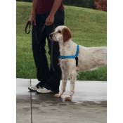 PetSafe - Harnais pour Chien Deluxe Easy Walk (M), Réfléchissant, Confortable, Résistant, Facile à Utiliser, Anti-Traction - Bleu