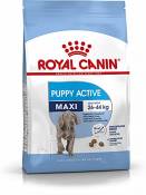 Royal Canin - Royal Canin Maxi Junior Active Contenances