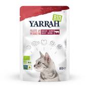 14x85g Yarrah Bio Filets en sauce bœuf - Pâtée pour chat