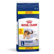 5 kg + 3 kg offerts ! Royal Canin Maxi Adult pour chien