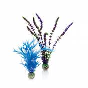 biOrb Jeu de plantes M en bleu et violet