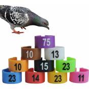 Csparkv - Diamètre 1.6cm)lot de 60 Anneau d'Identification En Plastique Pigeon Animaux Poulet Bande De Volaille Anneaux De Pied De Pigeon Marquage