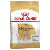 3kg Chihuahua Adult Royal Canin Breed Croquettes pour