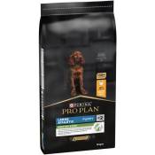 Croquettes Pro Plan Puppy Large Athletic Healthy Start : 12 kg
