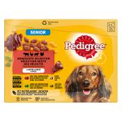 Multipack Pedigree pour chien 40 x 100 g + 8 x 100 g offerts ! - Senior : 4 saveurs en gelée (12 x 100 g)