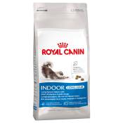 4kg Indoor Long Hair Royal Canin Croquettes pour chat