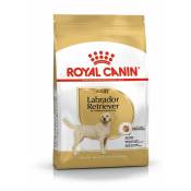 Royal Canin - Croquettes Labrador Adulte : 12 kg