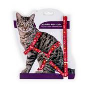 Animallparadise - Harnais avec laisse 1.20m, kitty cat rouge, pour chaton. Rouge