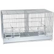 Ferribiella - 55 x 27 x 35 cm: Cage à oiseaux double en métal avec accessoires en plastique