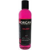 Morgan - Shampoing protéiné senteur Malabar : 250ml