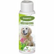 Shampooing Green Wash Derma pour chiens délicat et émollient régénère la peau, combat le développement des bactéries et des champignons