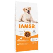 12kg IAMS Advanced Nutrition Adult Large poulet - Croquettes pour chien