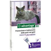 Bayer - Avantage Spot sur 80 puces de prévention et tiques pour chats de 4 kg 4 pipettes