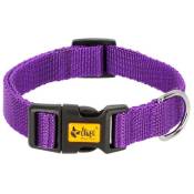 Beddinghouse - dingo Energy violet - collier pour chien