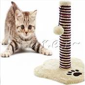 Chaton Animal domestique Purrfect Groom Scratch Chewing