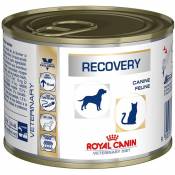 Royal canin Vet Dog Cat Recovery boite - 12 x 195g