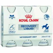 Royal Canin Veterinary Diet - cat/dog recovery liquid 3x200ml