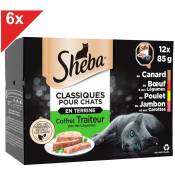 Sheba - Classiques pour chats 72 Barquettes terrine