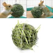 Acier inoxydable Feeder Jouet avec extrémités häng Crochets pour lapin cochon d'Inde Hamster, petits animaux jouet avec balle@M3021